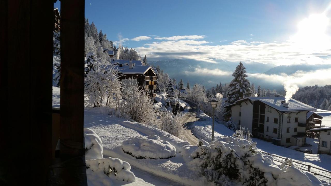 Primavera - 2.5 Zimmerwohnung, 52qm, Max 4 Pers, Schwimmbad/sauna